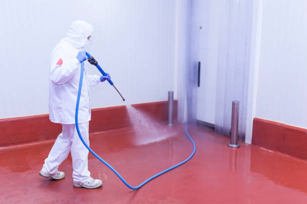 Trusted Dyer, IN Pressure Washing Services Experts