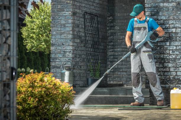Best Fence Cleaning  in Dyer, IN